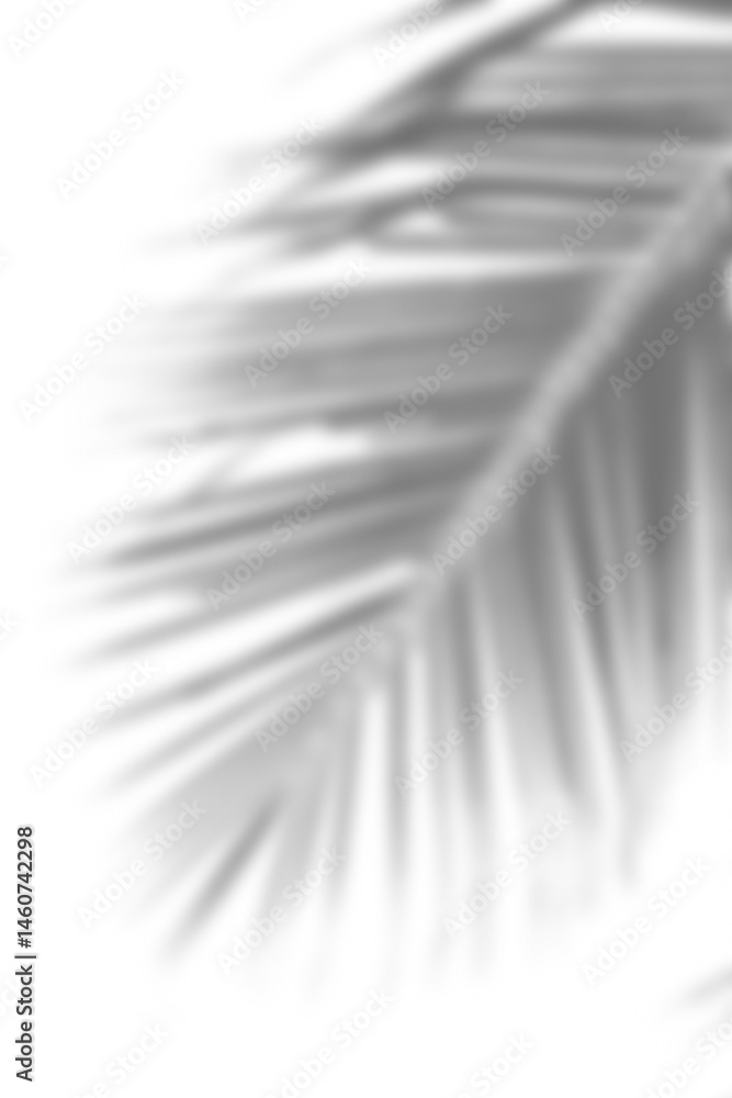 Poster Branch and leaf create soft shadow overlay effect with gentle light and natural texture for calm and peaceful background design. Mockup for spring summer product display design elements PNG