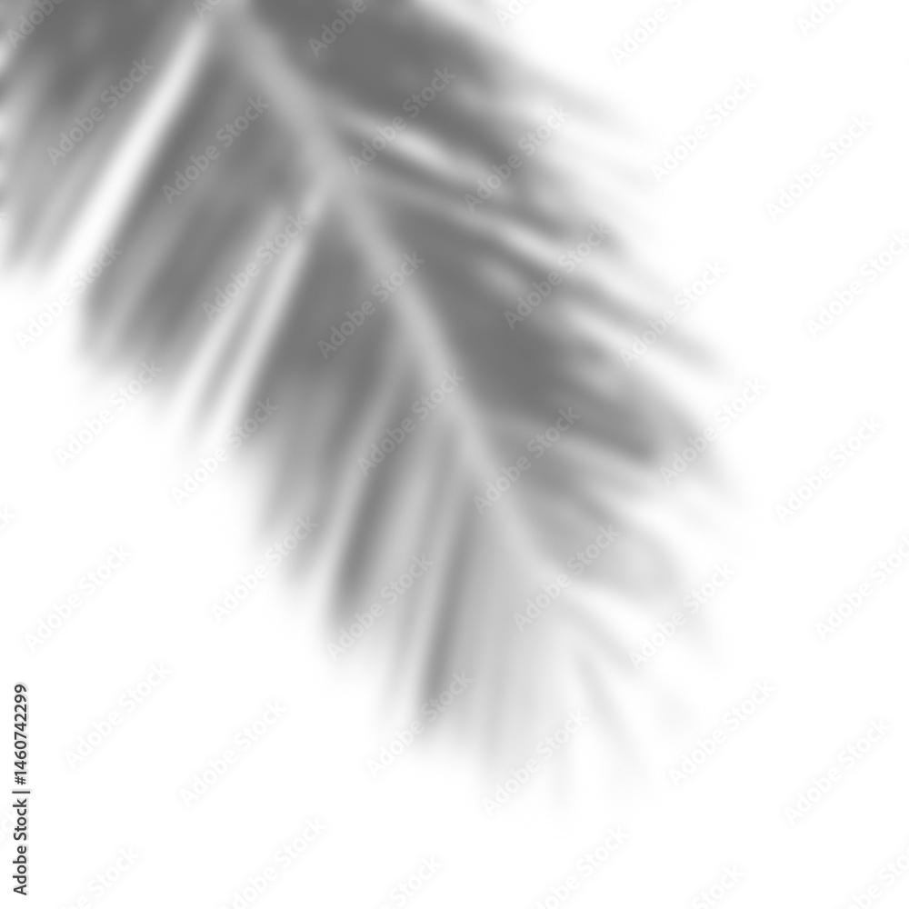 Aufkleber branch shadow overlay with soft leaf silhouette creates dreamy natural effect perfect for creative b