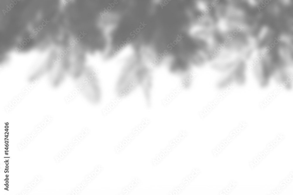 Leinwandbilder branch and leaf shadow overlay creates natural effect with soft edges and organic shapes for creativ
