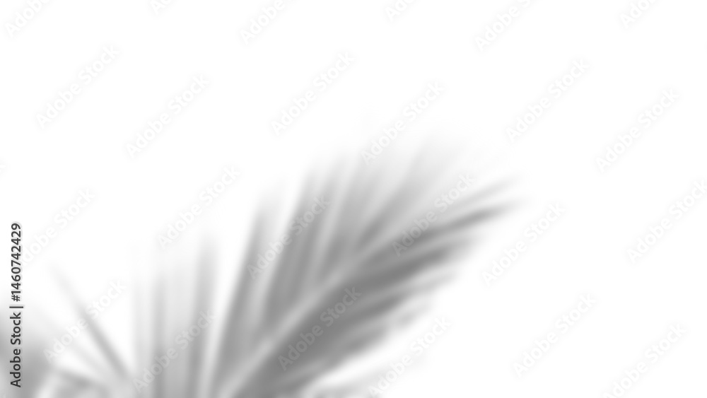 Poster branch and leaf shadow overlay creates soft natural effect with gentle gradients and organic shapes 