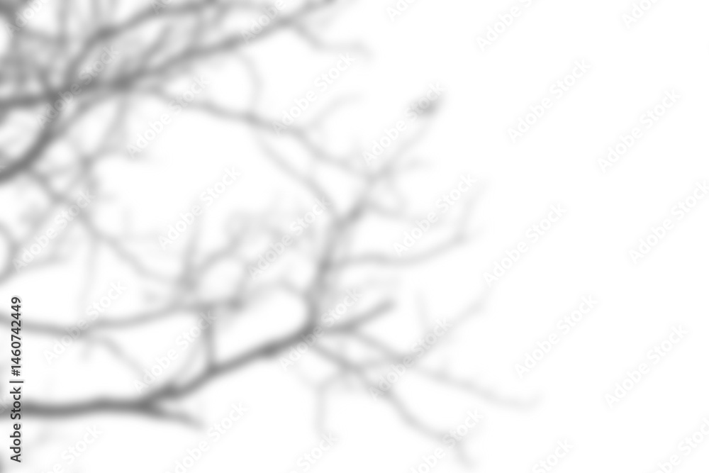 Poster branch and leaf shadow overlay creates dramatic effect with bold lines and soft edges for creative b