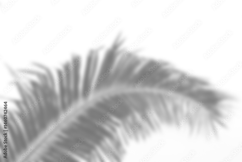 Fototapete Branch and leaf shadow overlay creates soft natural effect perfect for background or design with tropical inspiration and gentle light. Mockup for spring summer product display design elements PNG