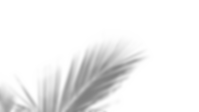 Branch and leaf shadow overlay creates soft natural effect with gentle gradients and organic shapes for creative design use. Mockup for spring summer product display design elements PNG