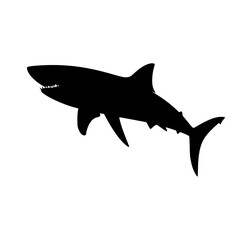Obraz premium Shark Silhouette Vector Graphic