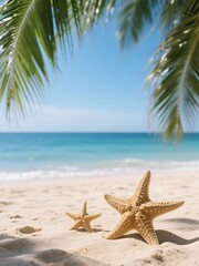 Fototapeta na wymiar starfish on the beach