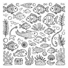 Set of fish doodle on white background. Hand drawn abstract doodle isolated on white background.