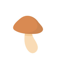Shiitake mushroom illustration