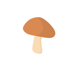 Shiitake mushroom illustration