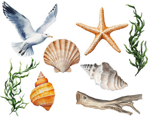 Illustrated Natural Beach Elements for Summer Vibes