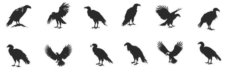 Flying Eagle Logo Design On White Background. vector