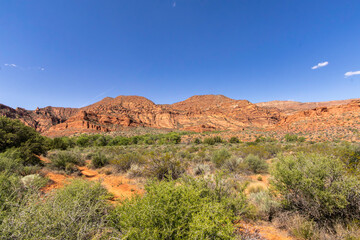 Views of the surrounding landscape from the Anasazi Trail in Red Cliffs National Conservation area.