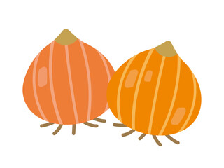 シンプルな二つの玉ねぎ