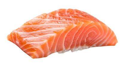 Fresh salmon fillet garnished