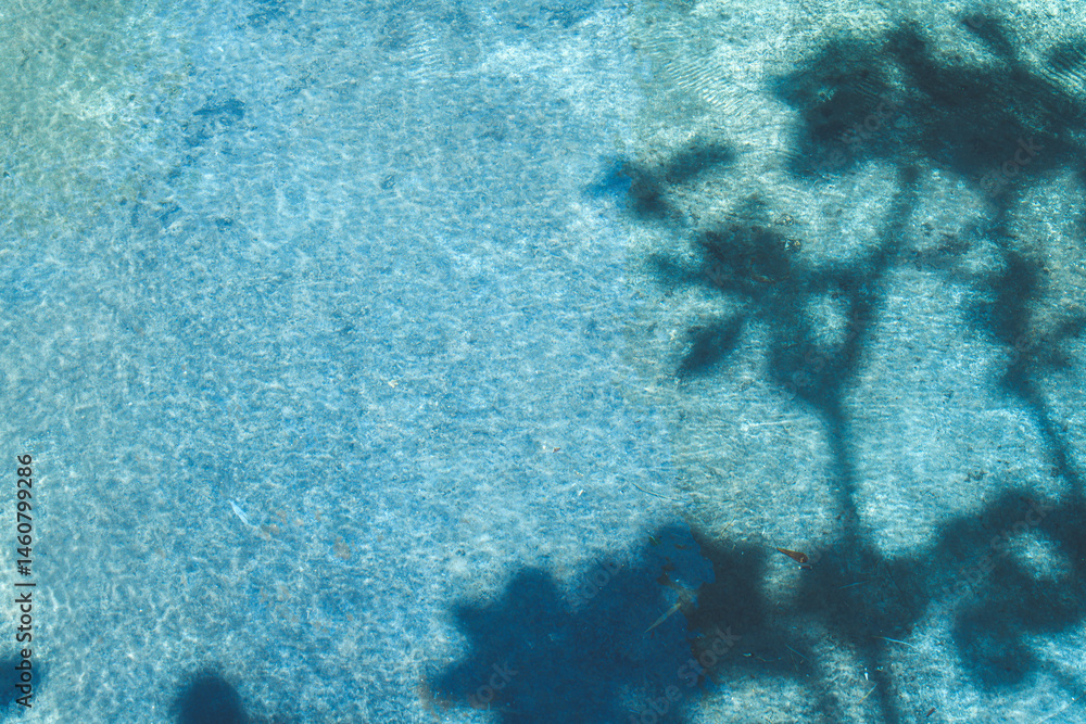 Poster shadow of tree branches on clear blue water surface, creating calm and tranquil natural abstract bac