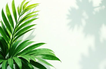 Fototapeta premium Vibrant green palm leaf casting shadow on light background