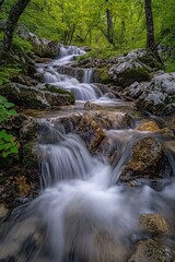 Obraz premium Cascading Waterfall Through Mossy Rocks in Lush Green Forest Long Exposure Eye Level View