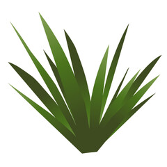 Grass plant vector illustration