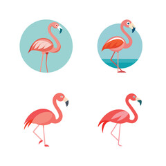 Stylized flamingo illustrations set against transparent backgrounds for versatile designs