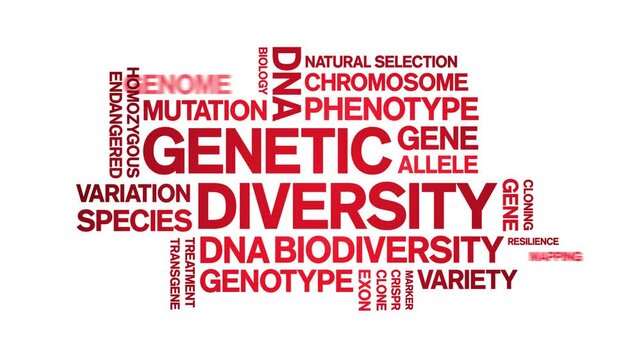 Genetic Diversity animated word cloud;text design animation tag kinetic typography seamless loop.