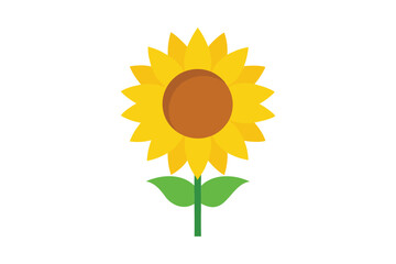 Sunflower blossom icon vector on white background