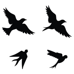 Birds silhouette vector icon. Birds icon set elegant style collection. Collection of common blackbird design. Vector illustration.