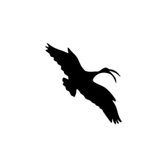 Ibis bird silhouette. Vector illustration 