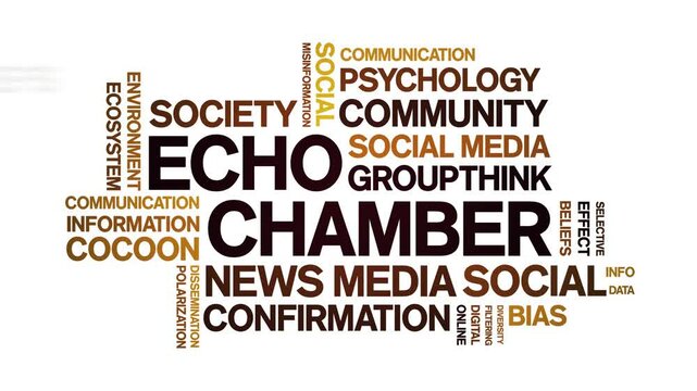 Echo Chamber animated word cloud;text design animation tag kinetic typography seamless loop.