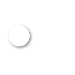 White Toggle Switch Button