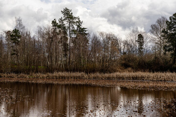 Obraz premium views of wildlife and a magical lake on a sunny day. Ecology of pure nature city park