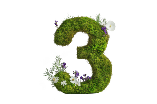 Moss covered number three with flowers on transparent background