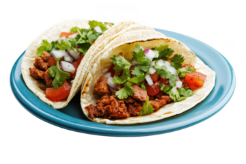 Two delicious tacos with meat on plate on transparent background
