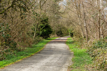smooth winding road through the park surrounded by lush green grass and trees