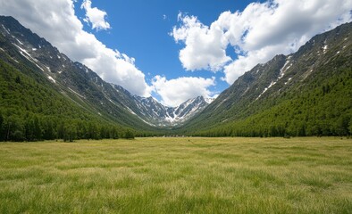 Obraz premium Mountain valley, meadow, blue sky