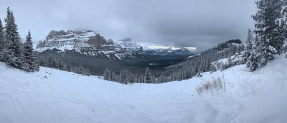 Panoramic Winter Landscape of Banff National Park Alberta Canada with Snow Covered Mountains and Evergreen Trees from High Angle View