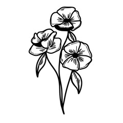 Poppy flowers doodle line art