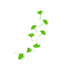 Flying ginkgo leaves vector illustration