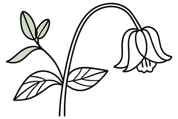 Hand drawn illustration of a stylized bellflower with leaves and stems for design assets