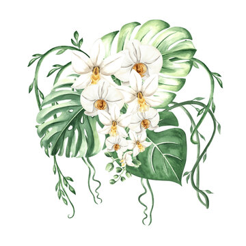 white orchids and green leaves watercolor arrangement clip art preview