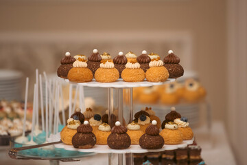 Different kinds of beautiful pastry, small colorful sweet cakes, macaron, and other dessert in the sweet buffet