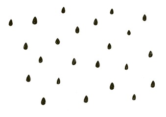 スイカの種　雨粒　ドット