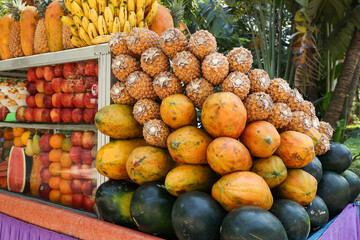 Fototapete bei efototapeten.de bestellen   