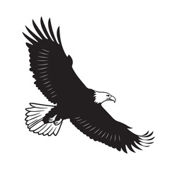 Obraz premium Eagle in Flight Silhouette
