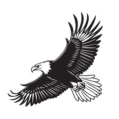 Obraz premium Eagle in Flight Silhouette