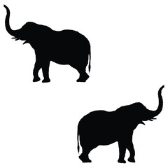 Elephant silhouette, Elephant vector, Elephant illustration, silhouette, set icon, silhouette, Elephant