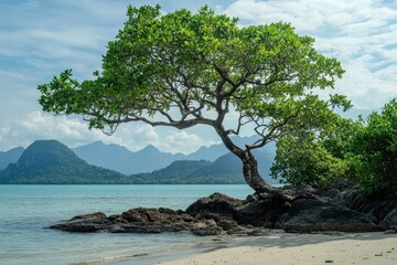 Tranquil beach scene with lone tree