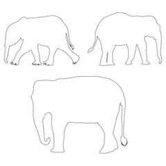 Elephant silhouette, Elephant vector, Elephant illustration, silhouette, set icon, silhouette, Elephant