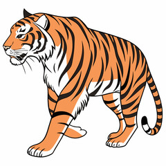 Fototapeta premium Fierce Tiger Vector Illustration – Wild Jungle Animal Clip art in Bold Artistic Style.