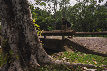 wellness concept with asian man exercise with tree in park on summer season
