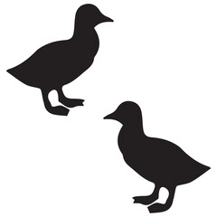 Goose Duck silhouette, Goose illustration, silhouette, Duck vector, set icon, silhouette, Goose 