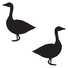 Goose Duck silhouette, Goose illustration, silhouette, Duck vector, set icon, silhouette, Goose 